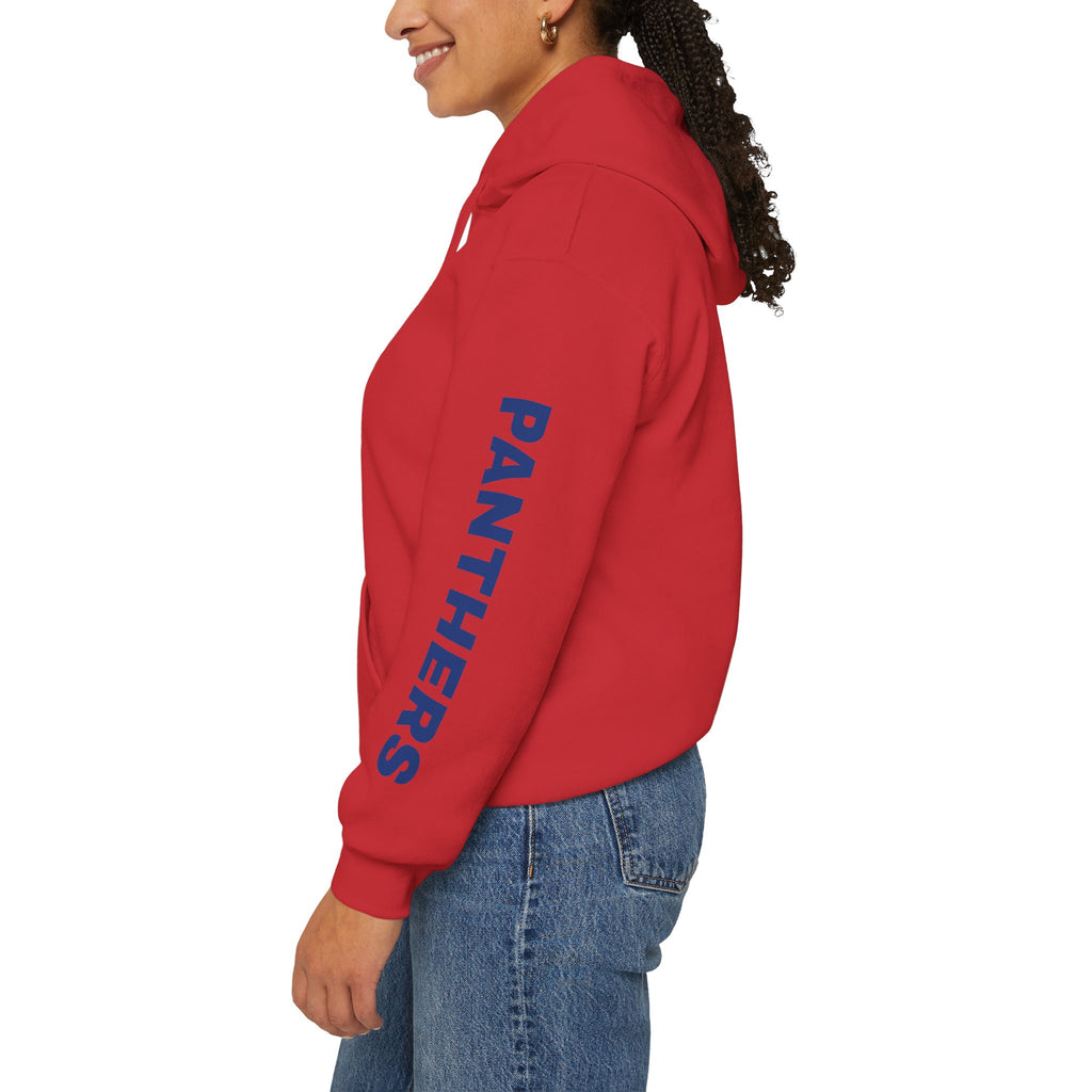 Panther Mascot Hoodie — "This Is Our Den" Team Spirit Sweatshirt